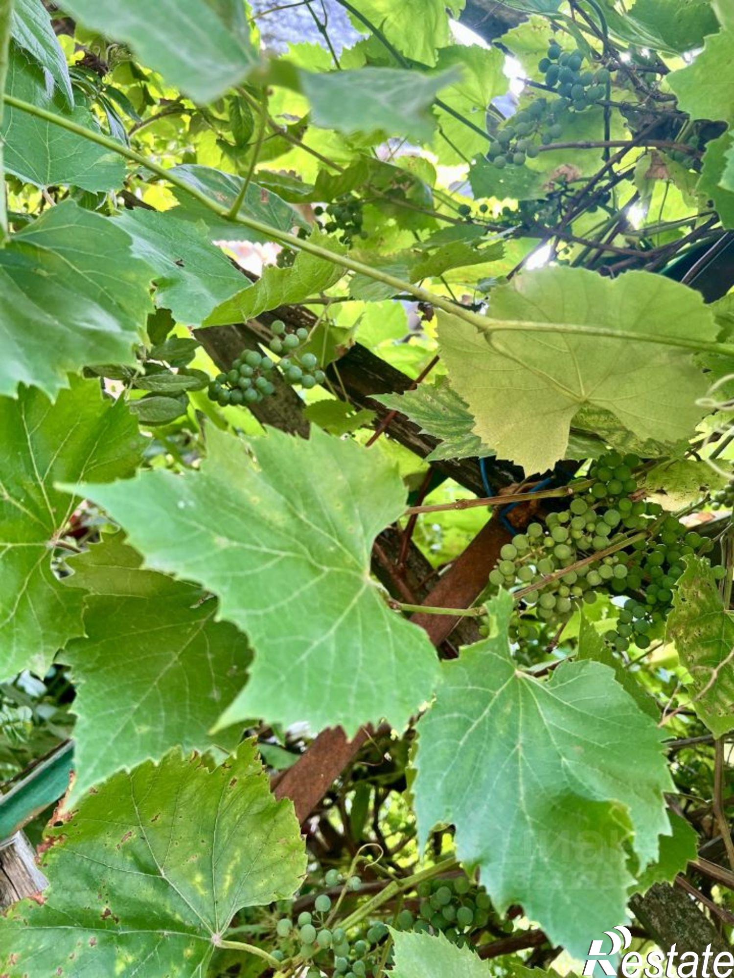 Купить дачу, дом, коттедж за 4 050 000 рублей на ул Гагарина, 36