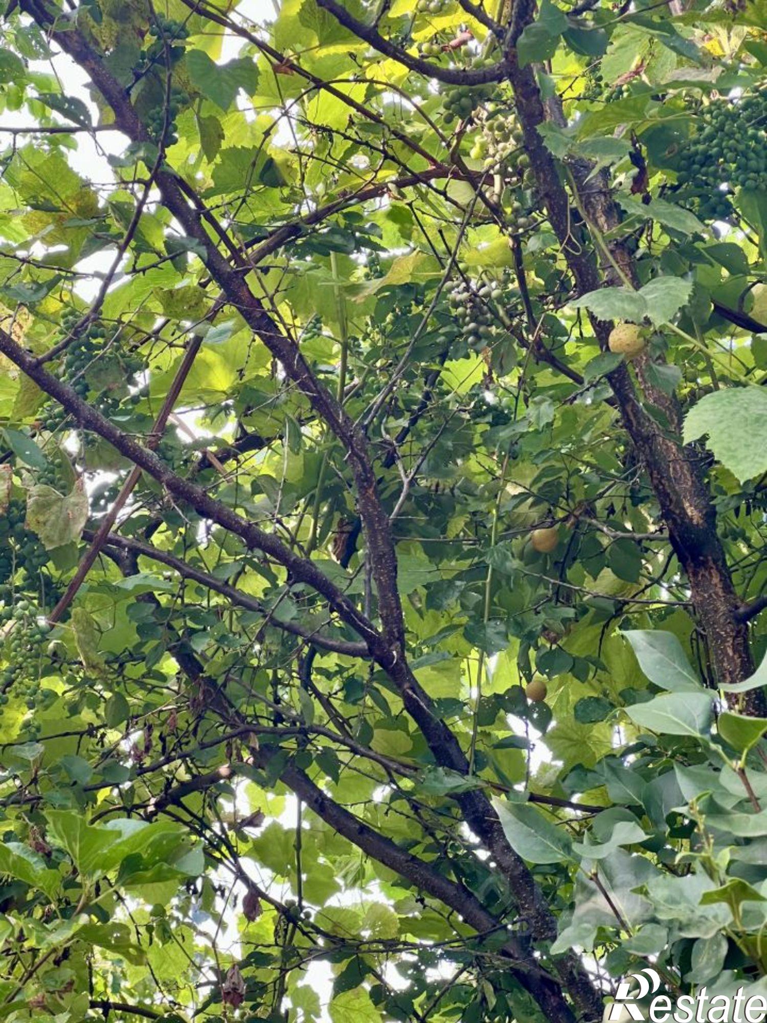 Купить дачу, дом, коттедж за 4 050 000 рублей на ул Гагарина, 36