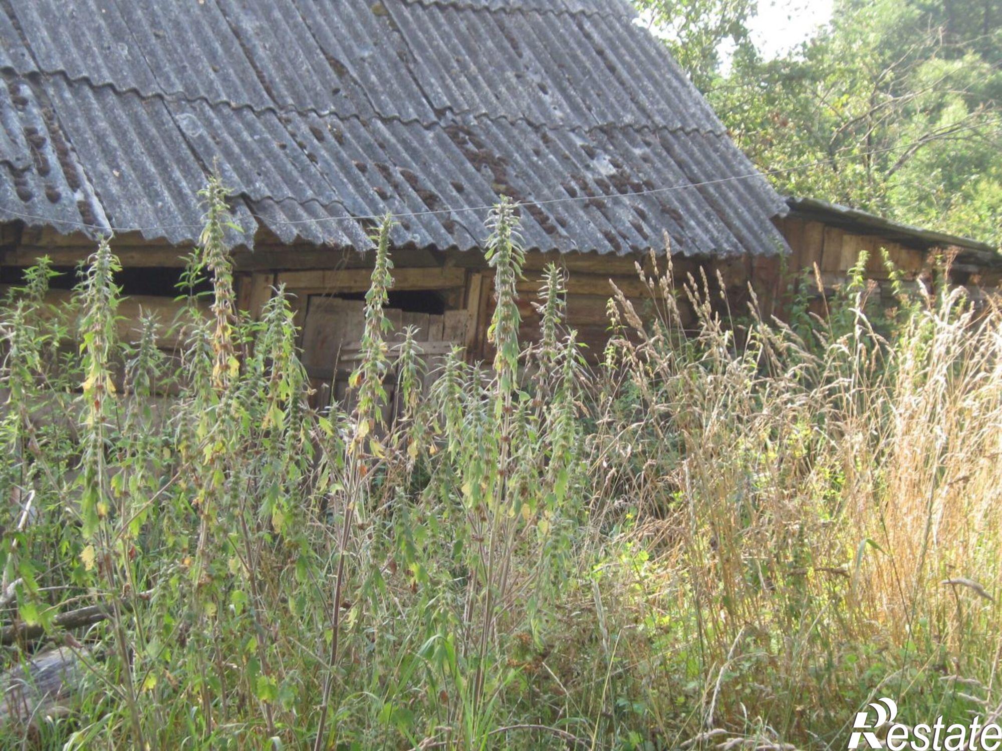 Купить землю, земельный участок за 250 000 рублей на ул Садовая, 18