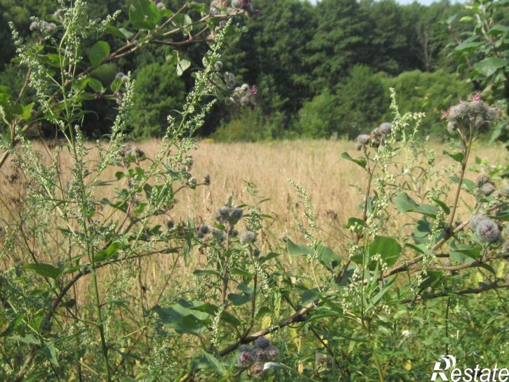 Земельный участок ул Садовая, 18,  д. 18