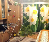 1-комн, 29кв м, этаж 1/5 улица Карла Маркса, 26