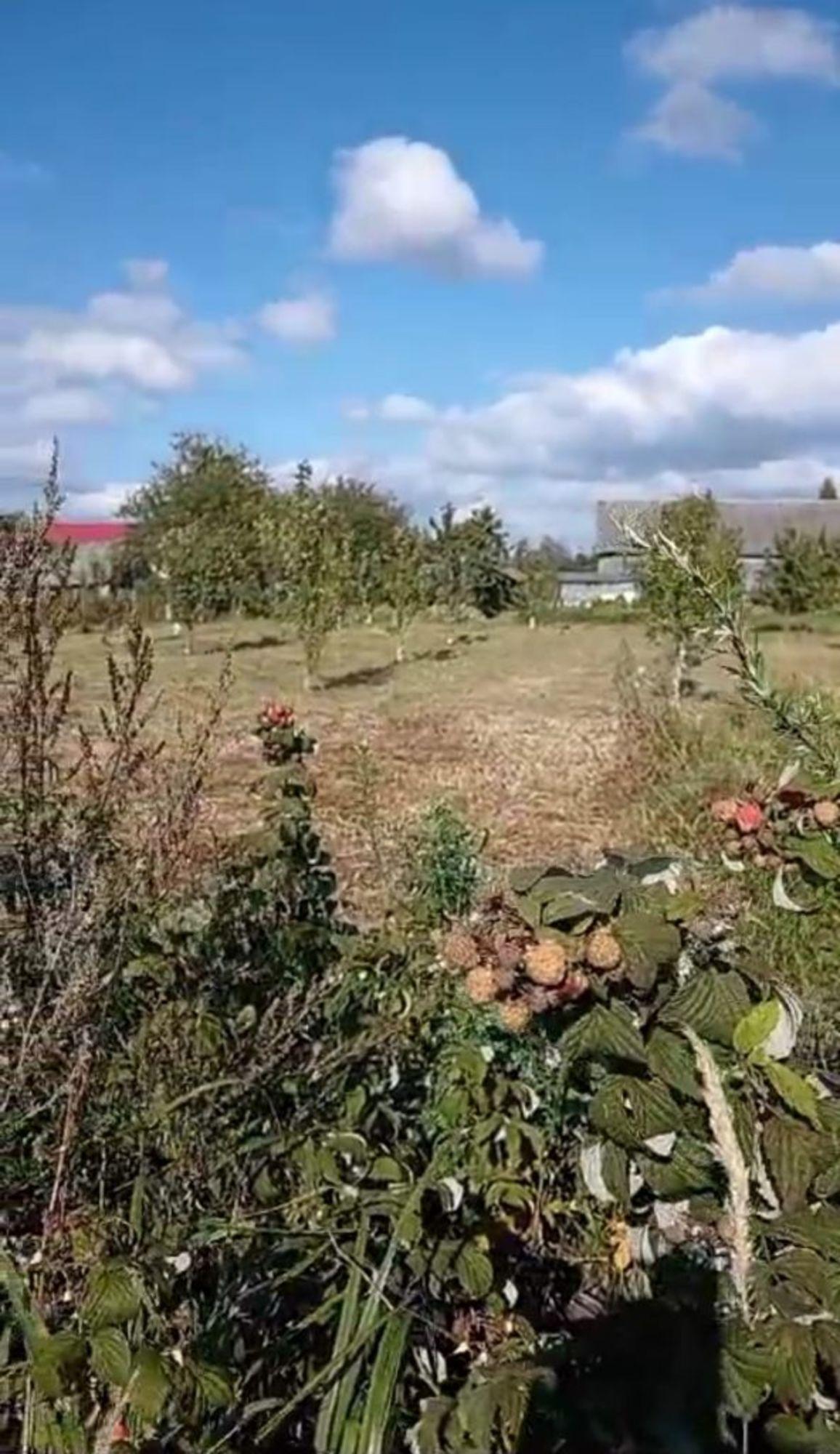 Купить землю, земельный участок за 299 000 рублей на Бутре с