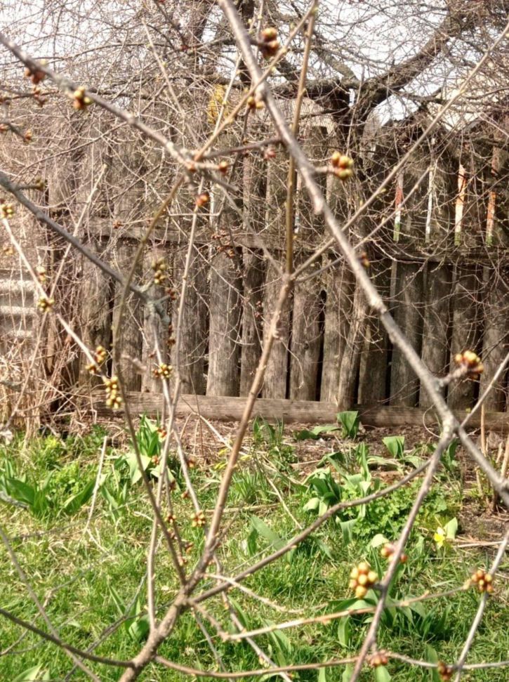 Земельный участок Бутре с