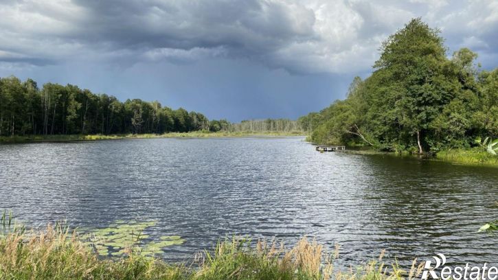 Земельный участок Рогнединский район