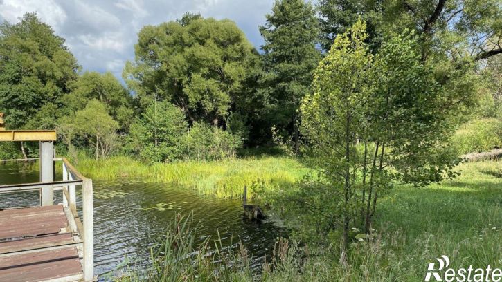 Земельный участок Рогнединский район