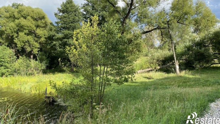 Земельный участок Рогнединский район