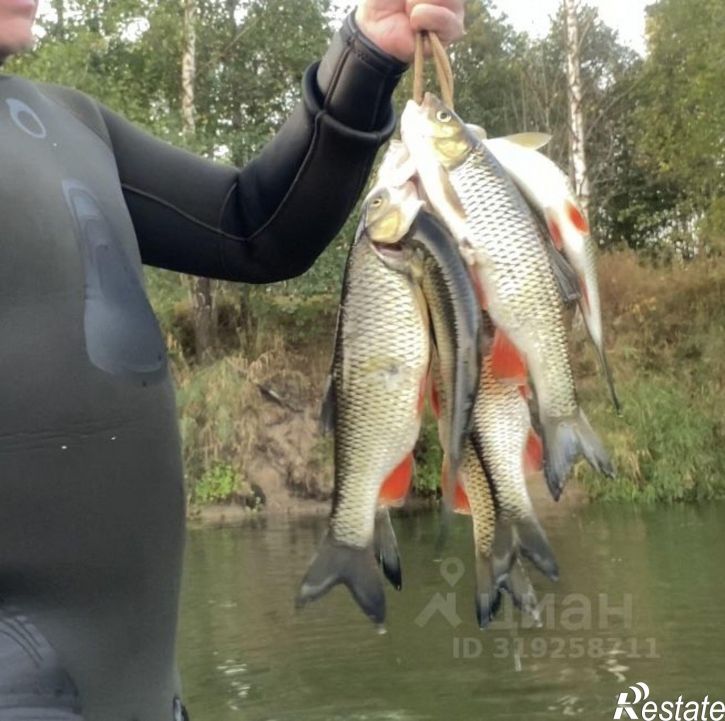 Земельный участок Рогнединский район