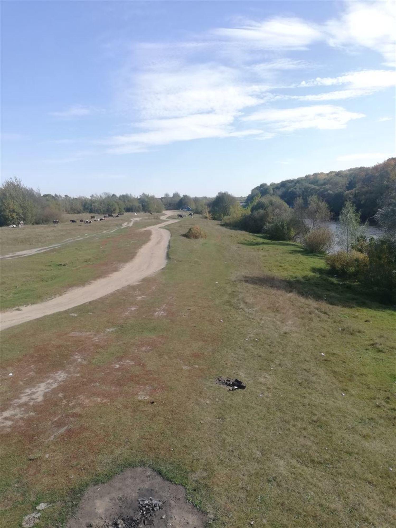 Купить землю, земельный участок за 6 000 000 рублей на Сельцо