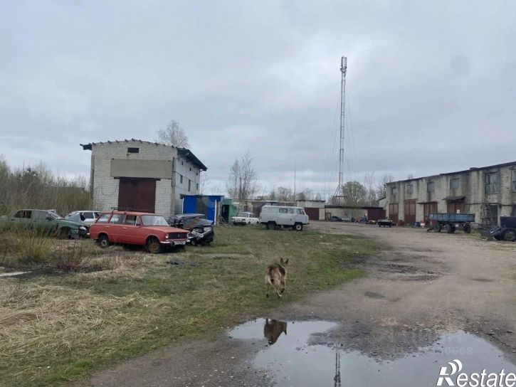 Склад ул Рошаля, 42,  д. 42